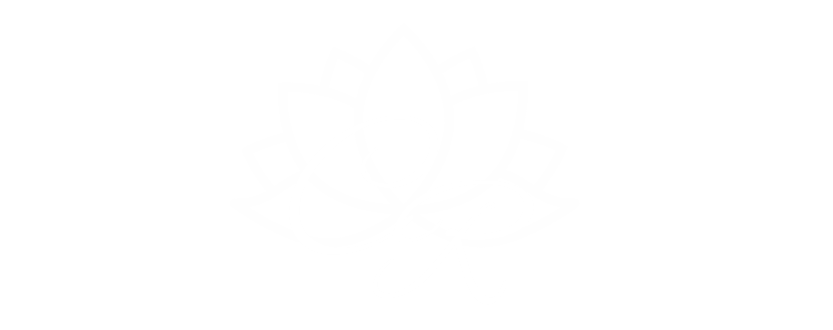 Camila Rizzaro Nutricionista